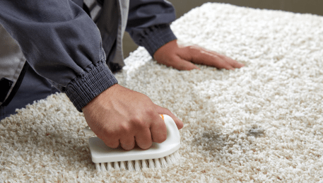 Professional Rug Cleaning Mitcham